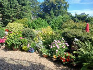 Photo 42- click for photo gallery